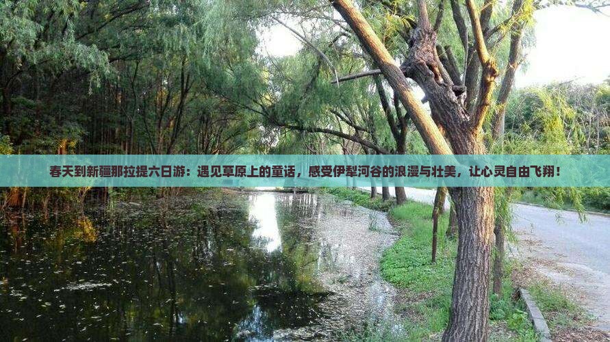 春天到新疆那拉提六日游