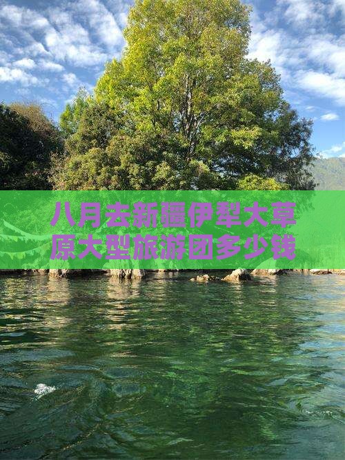 八月去新疆伊犁大草原大型旅游团