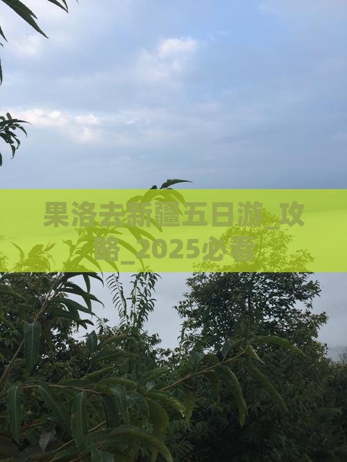 果洛去新疆五日游