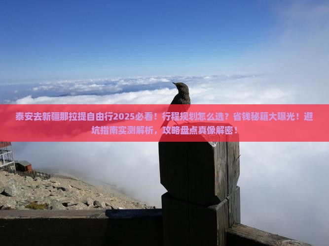 泰安去新疆那拉提自由行