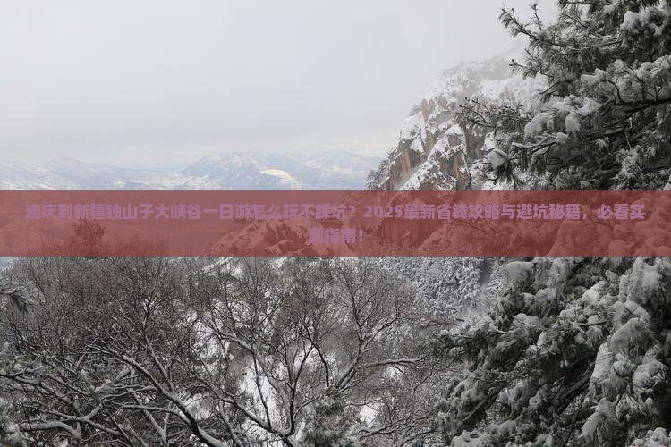 迪庆到新疆独山子大峡谷一日