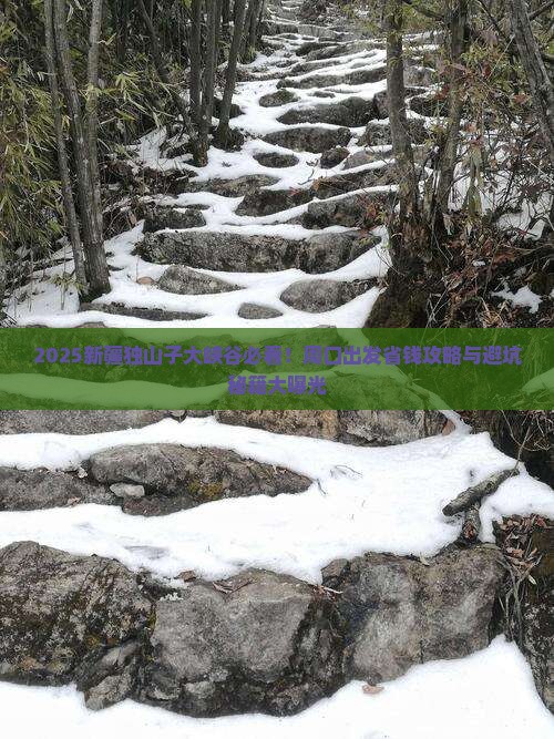 周口去新疆独山子大峡谷旅行社
