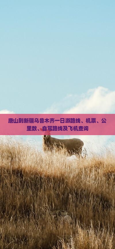 唐山到新疆乌鲁木齐一日