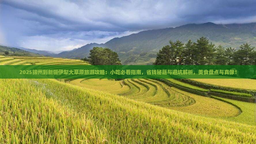 锦州到新疆伊犁大草原旅游小吃