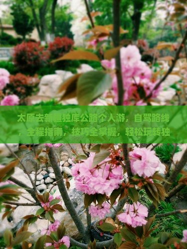太原去新疆独库公路个人游