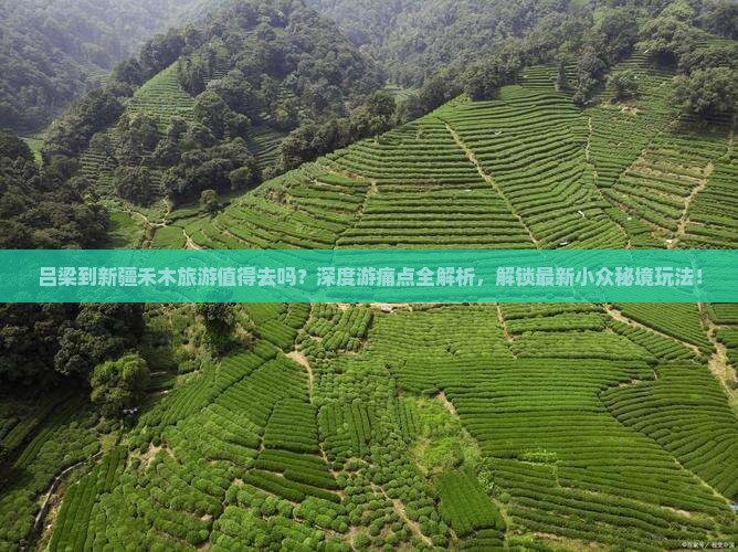 吕梁到新疆禾木旅游