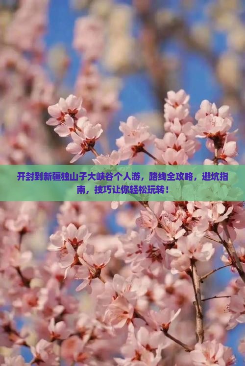 开封到新疆独山子大峡谷个人游