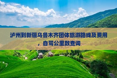 泸州到新疆乌鲁木齐团体旅游