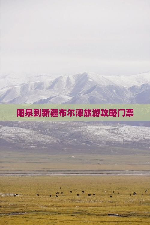 阳泉到新疆布尔津门票