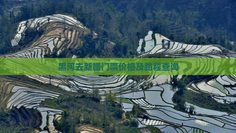 黑河去新疆门票