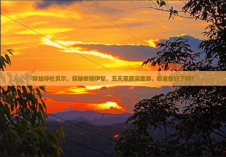 呼伦贝尔到新疆伊犁大草原五日游