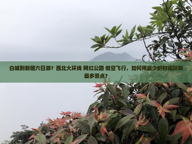 白城到新疆六日游