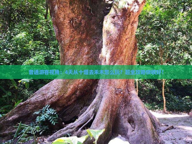 十堰到新疆禾木四日游