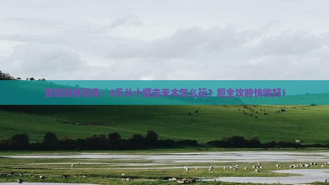 十堰到新疆禾木四日游