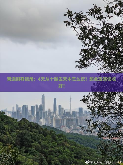十堰到新疆禾木四日游