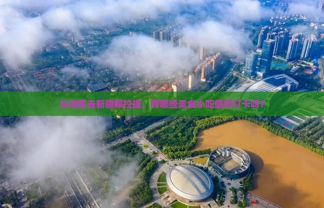 哈密到新疆那拉提旅游小吃