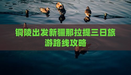 铜陵到新疆那拉提三日游