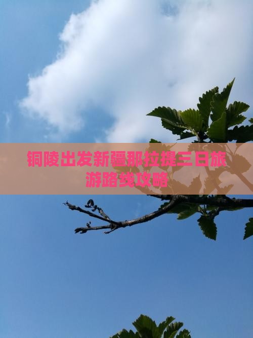 铜陵到新疆那拉提三日游