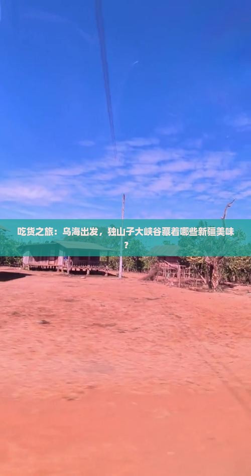 乌海去新疆独山子大峡谷旅游小吃