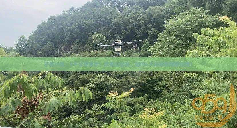 武夷山到新疆那拉提六日游