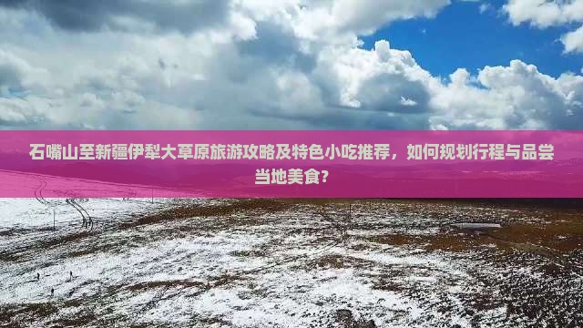 石嘴山去新疆伊犁大草原旅游小吃