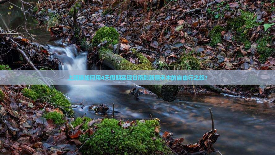 甘南去新疆禾木四日游