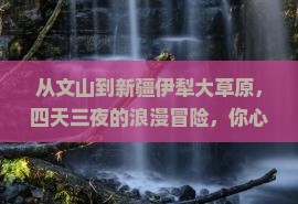 文山到新疆伊犁大草原四日游