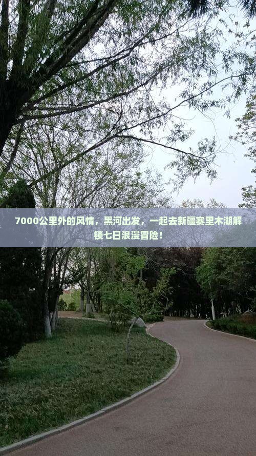 黑河到新疆赛里木湖七日游