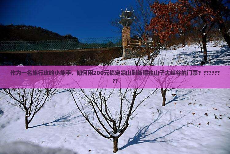 凉山到新疆独山子大峡谷门票