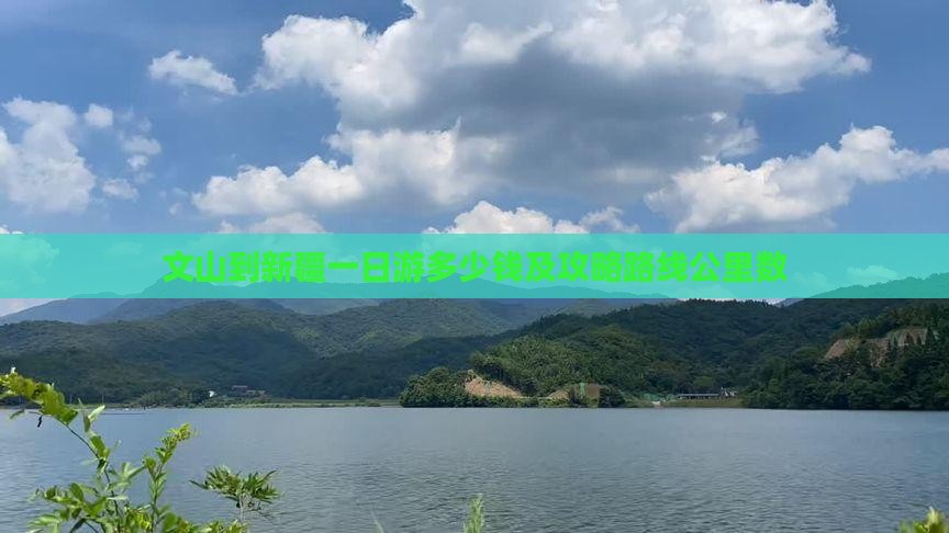 文山到新疆一日