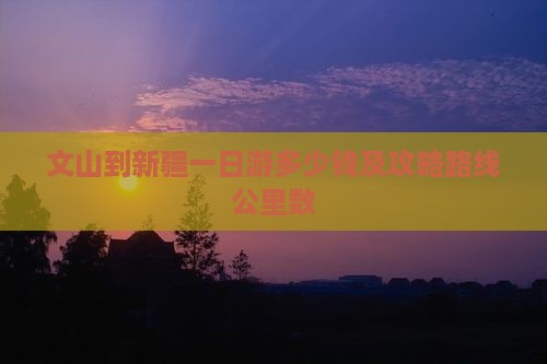 文山到新疆一日