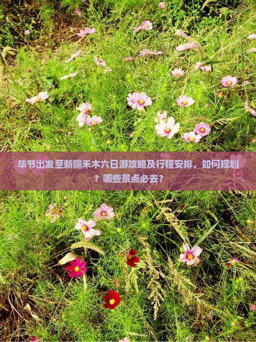 毕节到新疆禾木六日游