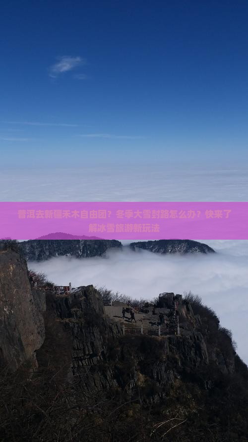 普洱去新疆禾木自由团