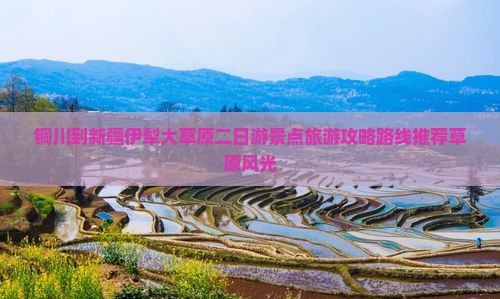 铜川到新疆伊犁大草原二日游