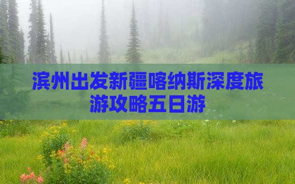 滨州去新疆喀纳斯五日游