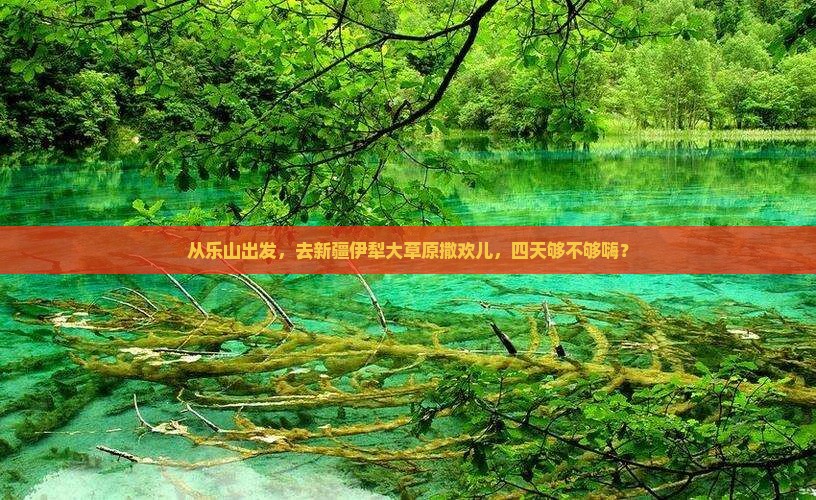 乐山去新疆伊犁大草原四日游