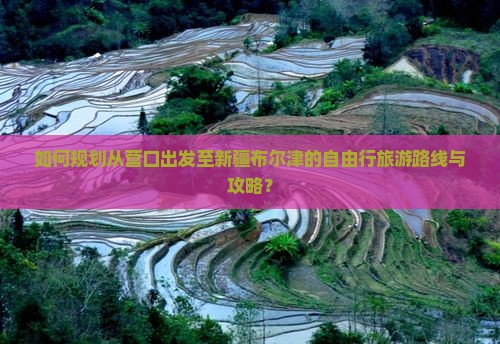 营口去新疆布尔津自由团