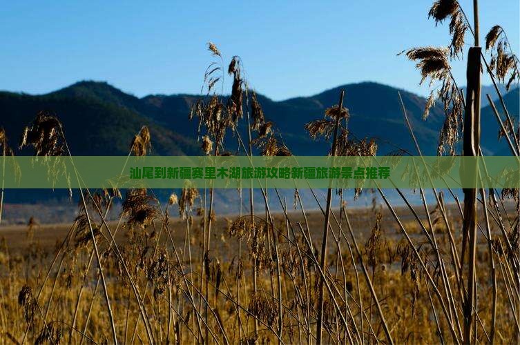 汕尾到新疆赛里木湖哪里玩