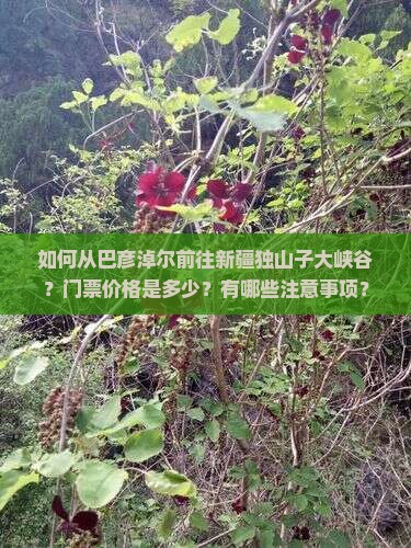 巴彦淖尔去新疆独山子大峡谷门票 巴彦淖尔去新疆独山子大峡谷门票