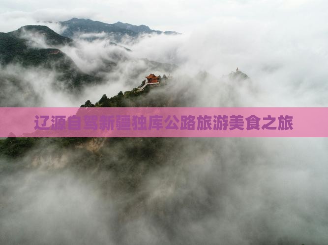 辽源去新疆独库公路旅游小吃