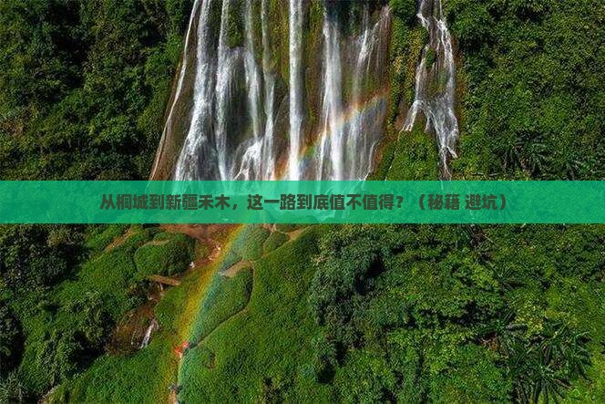 桐城到新疆禾木旅游