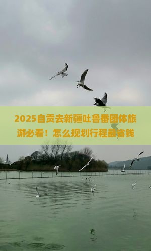 自贡去新疆吐鲁番团体旅游