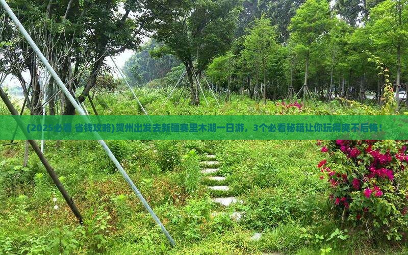 贺州去新疆赛里木湖一日