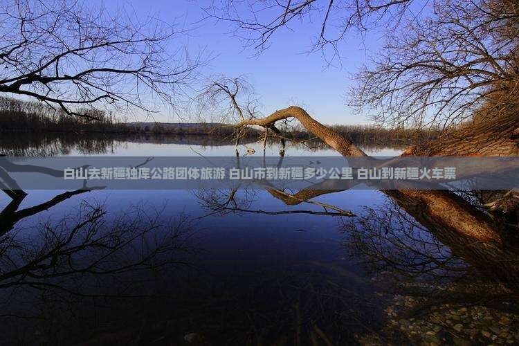 白山去新疆独库公路团体旅游