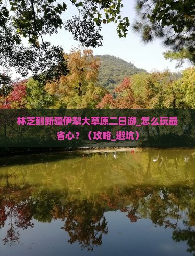林芝到新疆伊犁大草原二日游