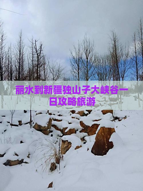 丽水到新疆独山子大峡谷一日