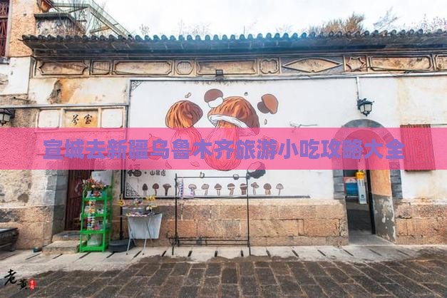 宣城去新疆乌鲁木齐旅游小吃