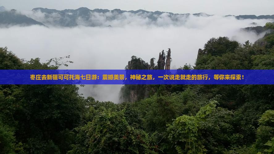 枣庄去新疆可可托海七日游