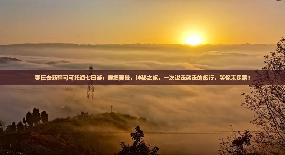枣庄去新疆可可托海七日游