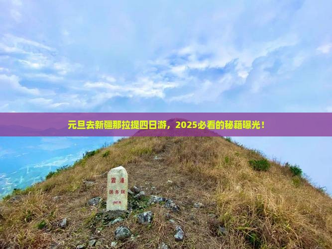 元旦去新疆那拉提四日游